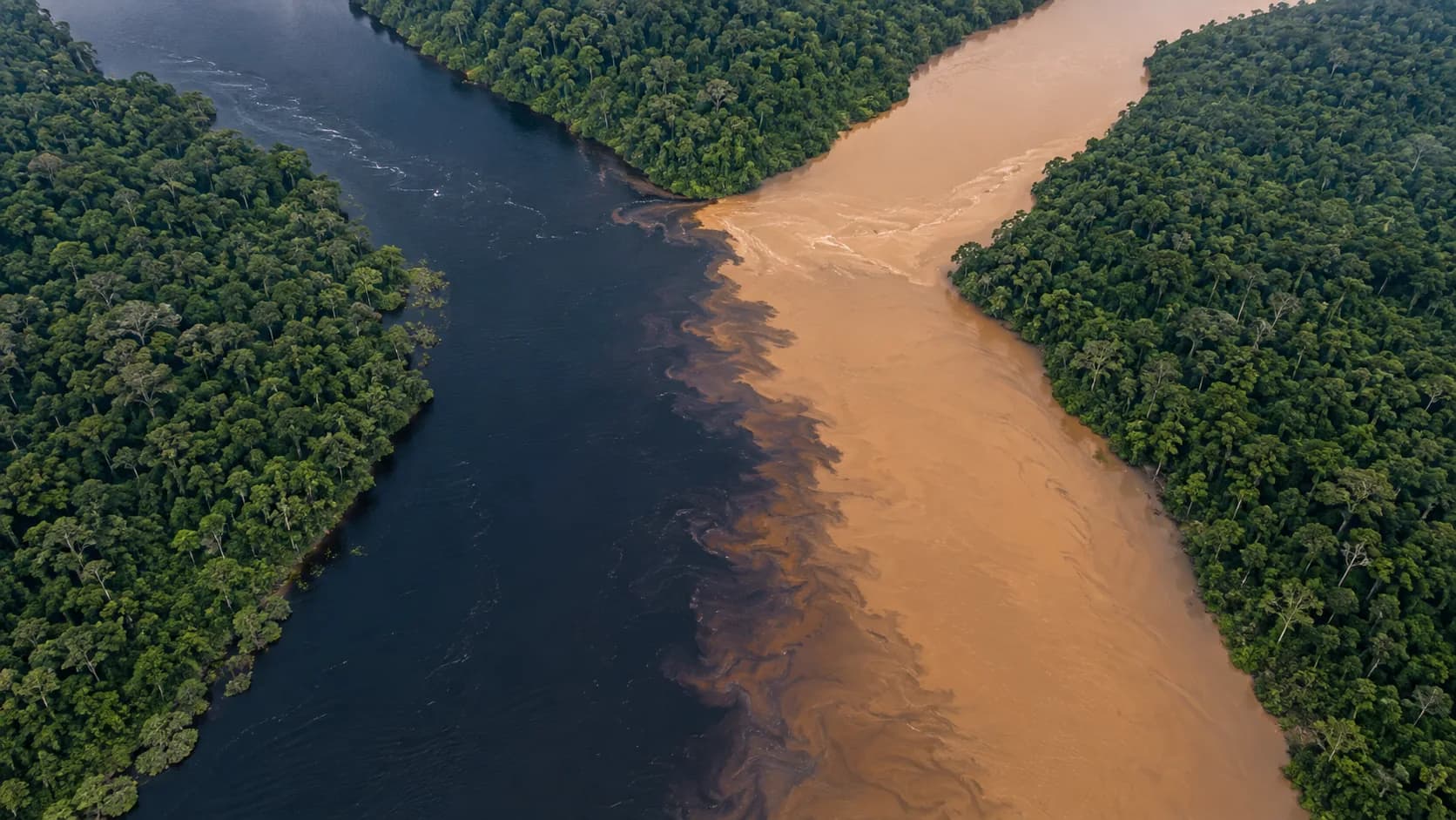 Aerial view of a dark river and a sandy river meeting and flowing on as one.